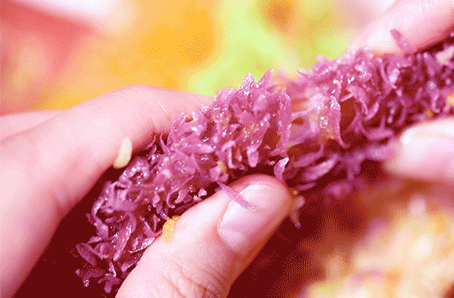 韩小猴鸡排 | 是时候将创业这事提上日程了！