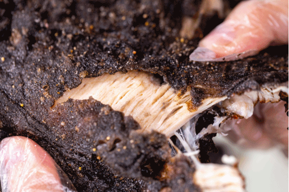 开一家鸡排店赚不赚钱？怎么才能更赚钱？