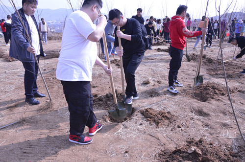 种下初心，蓬勃生长——连起餐饮植树节护绿行动